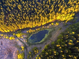 Слуховой аппарат при нейросенсорной 1-2 степени сильно снижает слух.